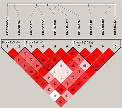 LRRC3B Polymorphisms Contributed to Breast Cancer Susceptibility in Chinese Han Population